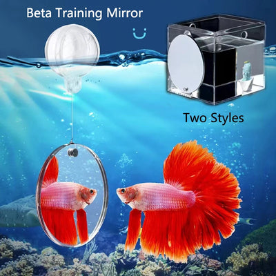 Fish Tank Mirror