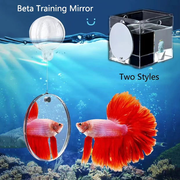 Fish Tank Mirror