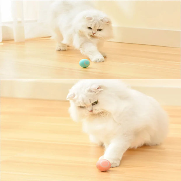 Electric Cat Ball: Interactive Training Toy - Shop Now!