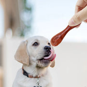 Dog Chew Toy snack